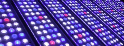 Светодиодный LED расчёт аквариума и растений