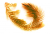 Роголистник Лисий хвост (Ceratophyllum demersum Foxtail)
