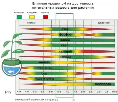 Ph воды в аквариуме и что нужно аквариумисту